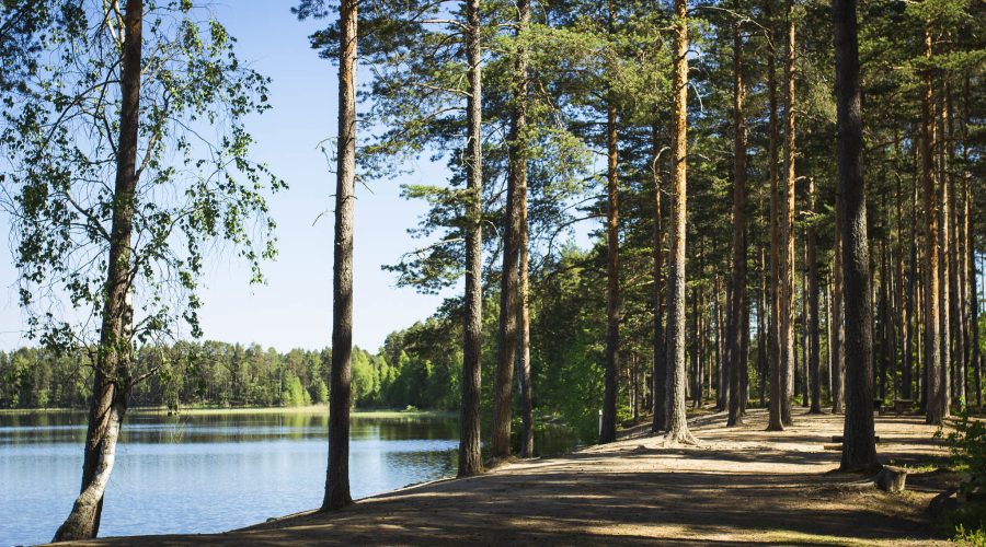 Järvimaisema