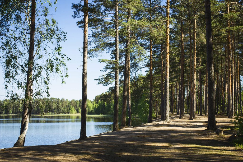 Järvimaisema