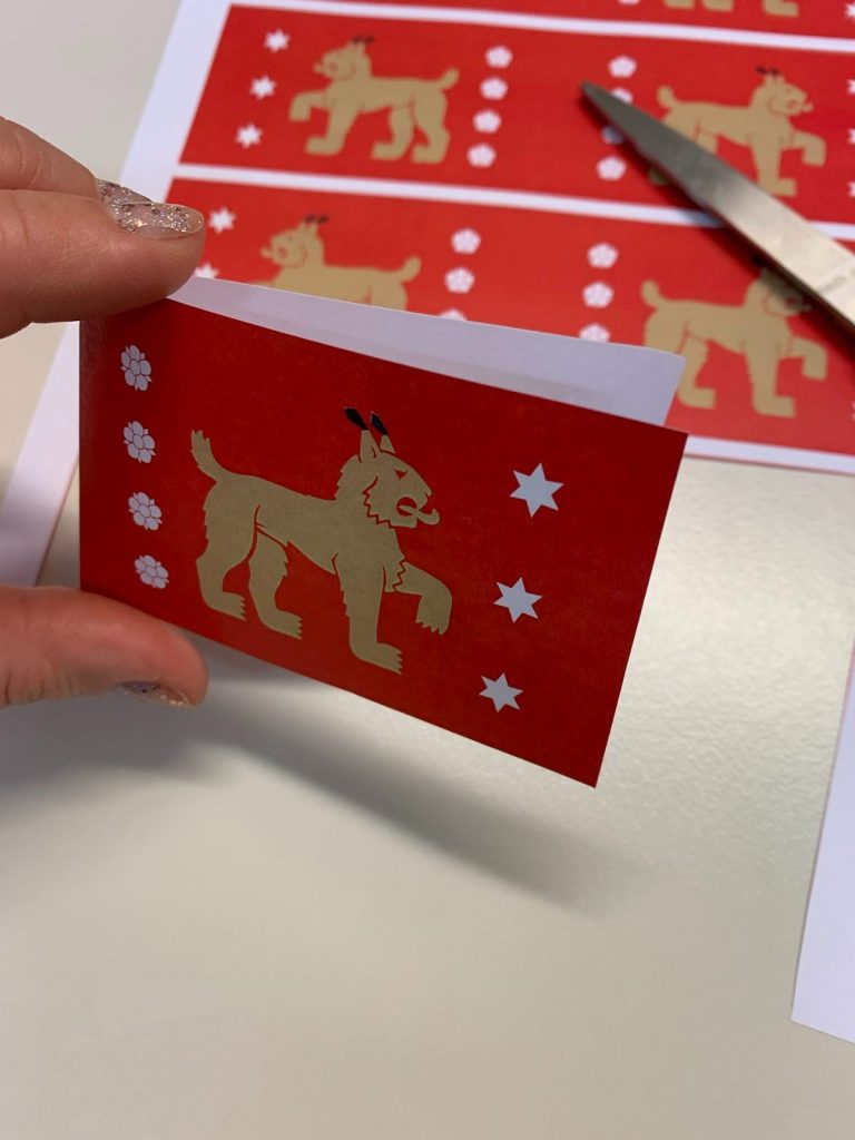 Hämeen maakuntalipun lippunauhan ohje, tulostettava ohje, lippukuva, pohja, ilveslippu