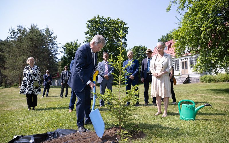 tasavallan presidentti, puun istutus, ihmisiä, kesä