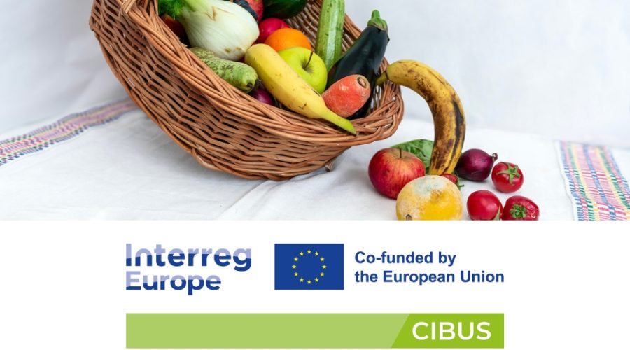 artikkelikuva, hankkeen logo, cibus-hanke, EU, euroopan unionin rahoitus, interreg, ruokakori, hedelmiä, ruokahävikki