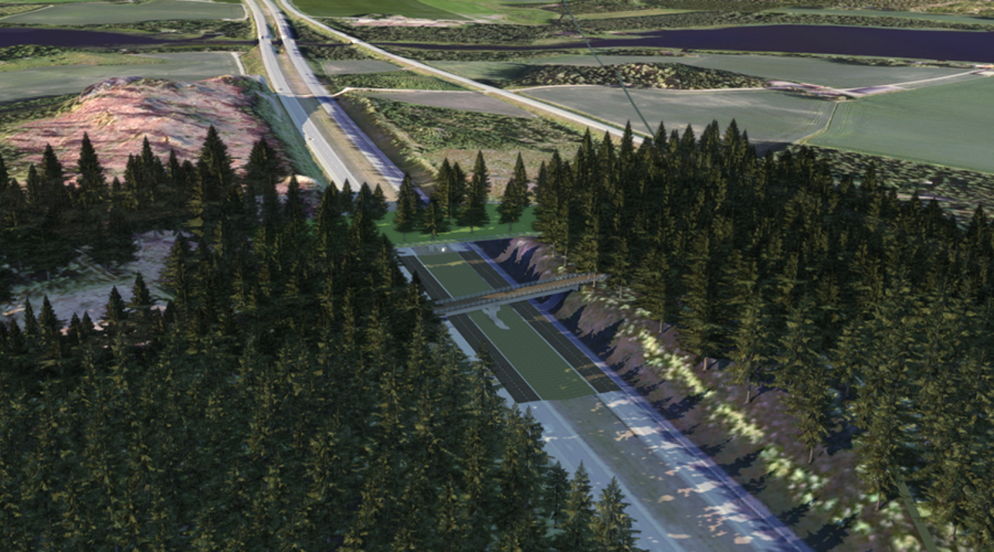 havainnekuva valtatien 3 ylittävästä siltapaikasta, tie, silta, piirroskuva, metsää