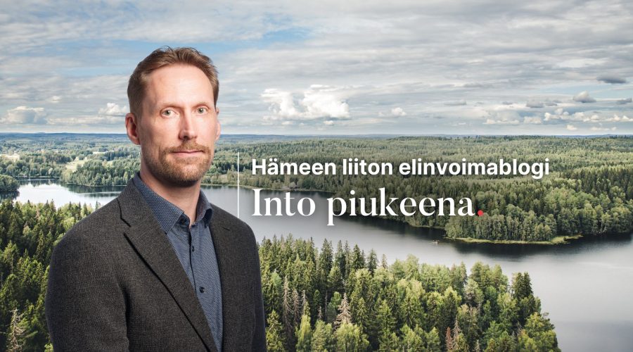 kanta-häme, taustakuva, mies kuvassa, into piukeena blogin taustakuva